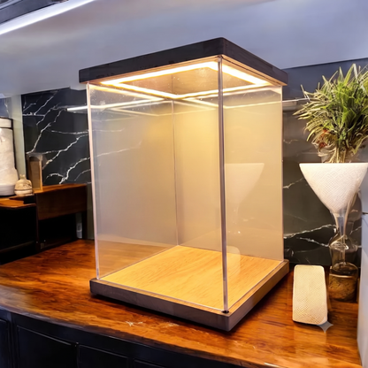 LED Display Box